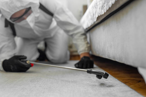 Professional Ant Control technician working in Lakehills, TX